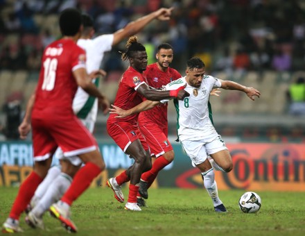 Algeria v Equatorial Guinea, 2021 Africa Cup of Nations, Group E ...