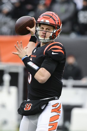 Cincinnati Bengals Wide Receiver Trent Taylor Editorial Stock Photo - Stock  Image