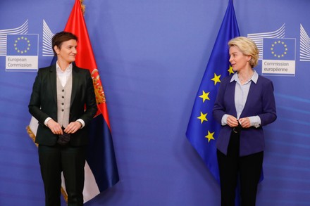 Serbian Prime Minister Ana Brnabic in Brussels, Belgium - 25 Jan 2022