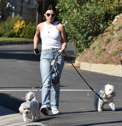 Lucy Hale walking her dogs in Studio City, California, USA - 25 Jan ...