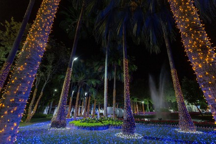 11+ Flower Christmas Lights 2022 Images