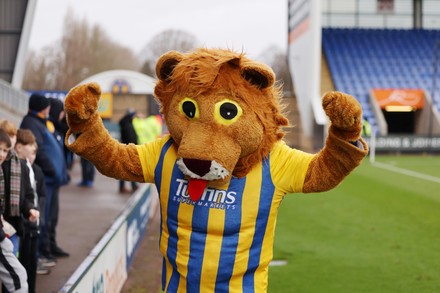 Easter Sunday at Shrewsbury Town - News - Shrewsbury Town