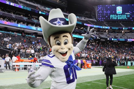 Rowdy Mascot Dallas Cowboys Poses Photo Editorial Stock Photo - Stock Image