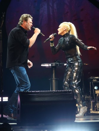 Bud Light Super Bowl Music Fest: Blake Shelton & Gwen Stefani