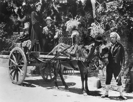 250 1948 movies Stock Pictures, Editorial Images and Stock Photos