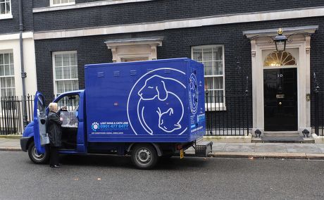 Larry the cat arriving at Downing Street, London, Britain - 15 Feb 2011