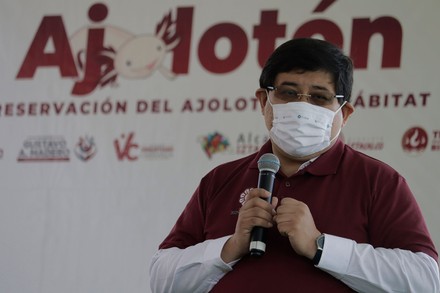 Release Of Ajolotes In Xochimilco, Mexico City - 16 Feb 2022