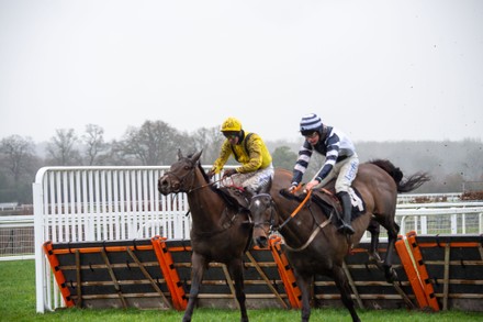 Horse Racing, Betfair Ascot Chase Raceday, Ascot, Berkshire, UK - 19 Feb 2022