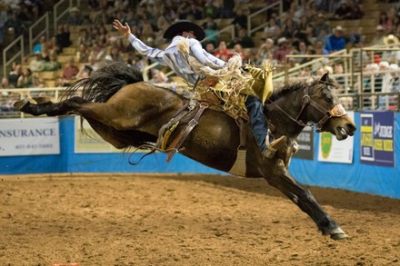 Kade Bruno Challis Idaho Usa Competes Editorial Stock Photo - Stock 