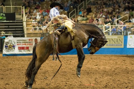 Kade Bruno Challis Idaho Usa Competes Editorial Stock Photo - Stock ...