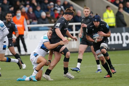 Josh Basham Newcastle Falcons Takes Pass Editorial Stock Photo - Stock ...