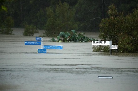 Persons Wade Flood Water Rocklea On Editorial Stock Photo - Stock Image ...