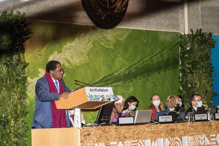 UNEA Conference kicks off in Nairobi, Kenya - 28 Feb 2022