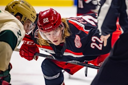 75 Grand rapids griffins Stock Pictures, Editorial Images and Stock Photos