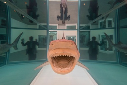 Natural History by Damien Hirst exhibition preview, LONDON, UK - 09 Mar 2022