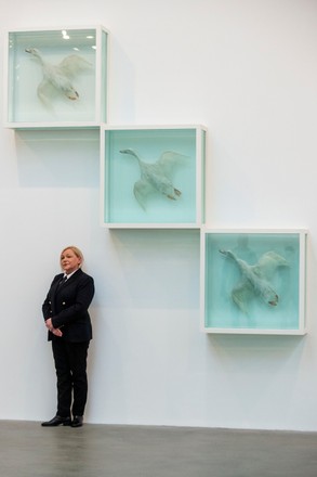 Natural History by Damien Hirst exhibition preview, LONDON, UK - 09 Mar 2022