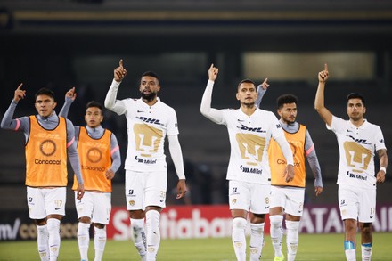 Pumas Unam Players Celebrate Victory Over Editorial Stock Photo - Stock ...