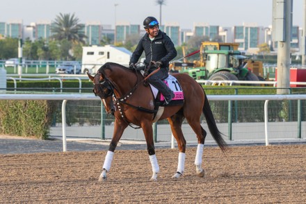 Horse Racing, Dubai World Cup, Morning Gallops Breeze Up Sale, United Arab Emirates - 23 Mar 2022