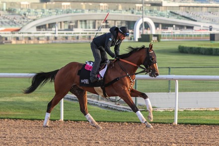Horse Racing, Dubai World Cup, Morning Gallops Breeze Up Sale, United Arab Emirates - 23 Mar 2022