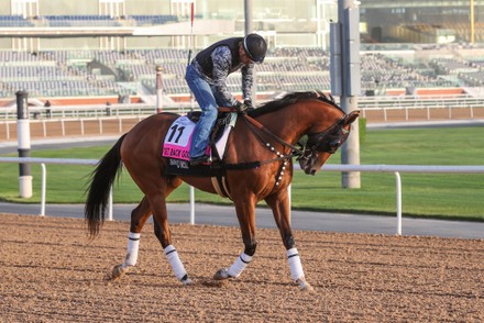 Horse Racing, Dubai World Cup, Morning Gallops Welcome Reception, United Arab Emirates - 24 Mar 2022