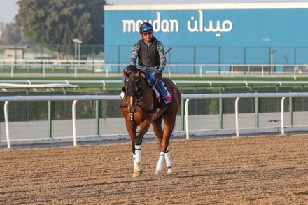 Horse Racing, Dubai World Cup, Morning Gallops Welcome Reception, United Arab Emirates - 24 Mar 2022