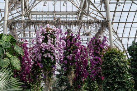 NY: Orchid show at New York Botanical Garden, United States - 19 Mar 2022