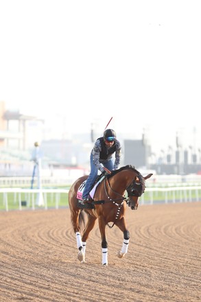 Horse Racing Dubai World Cup Preparations, Dubai, USA - 24 Mar 2022