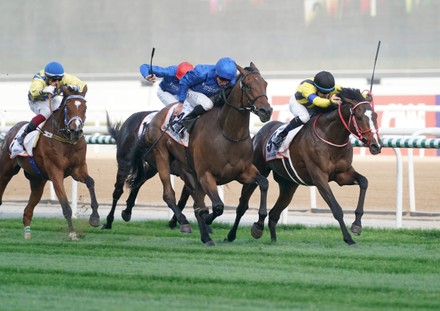 Horse Racing - 26 Mar 2022