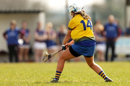 Roscommon Vs Westmeath Westmeaths Alex Elaurza Editorial Stock Photo ...