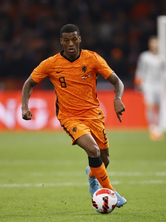 Georginio Wijnaldum Holland During Friendly Match Editorial Stock Photo ...