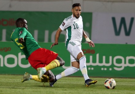 Algerian vs Cameroon, Blida, Algeria - 29 Mar 2022 Stock Pictures