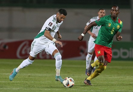 Algerian vs Cameroon, Blida, Algeria - 29 Mar 2022 Stock Pictures