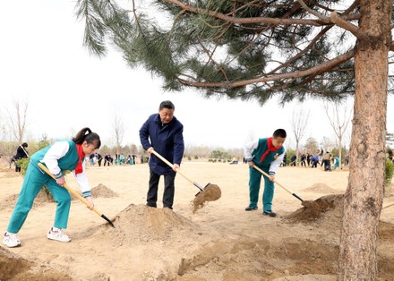 China Beijing Leaders Tree Planting - 30 Mar 2022