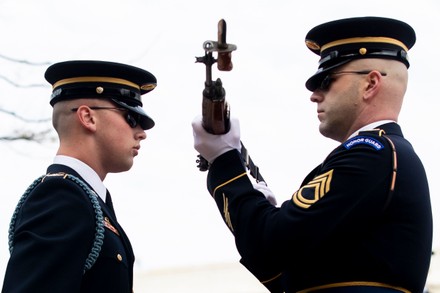 500 Members of the 3rd infantry regiment Stock Pictures, Editorial