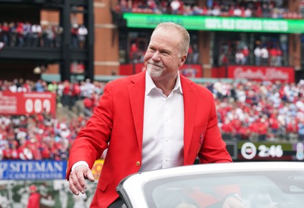 Mark McGwire, St. Louis Cardinals Editorial Stock Image - Image of