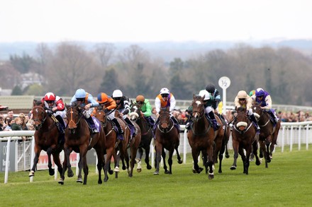 Beverley Race Meeting, Horse Racing - 13 Apr 2022