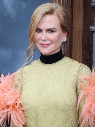 Americanaustralian Actress Nicole Kidman Wearing Prada Editorial Stock  Photo - Stock Image | Shutterstock