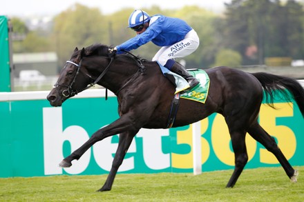 Mostahdaf Jim Crowley Win Bet365 Gordon Editorial Stock Photo - Stock ...