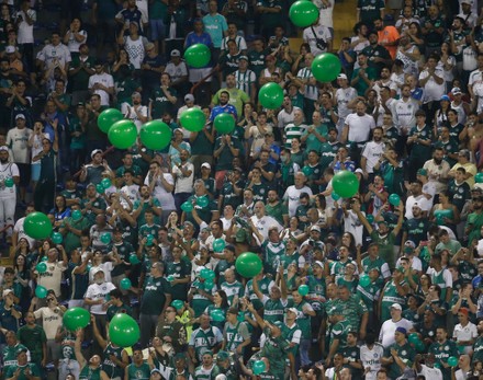 Palmeiras Fans Editorial Stock Photo - Stock Image | Shutterstock