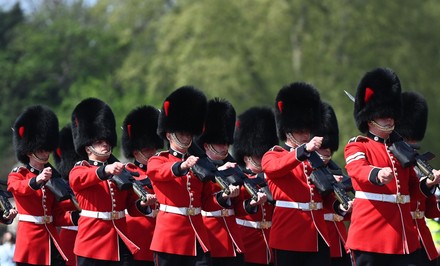 2,000 Grenadier guards Stock Pictures, Editorial Images and Stock ...