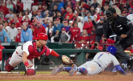 St Louis Cardinals Cardinals Catcher Andrew Editorial Stock Photo