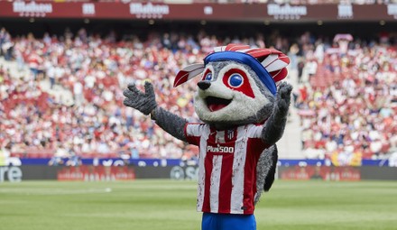 19 Espanyol mascot Stock Pictures, Editorial Images and Stock Photos ...