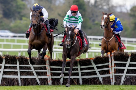 Punchestown Racing Festival, Punchestown Racecourse, Co. Kildare - 26 Apr 2022