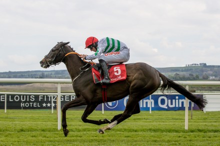 Punchestown Racing Festival, Punchestown Racecourse, Co. Kildare - 26 Apr 2022