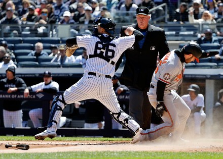 New York Yankees Right Fielder Giancarlo Editorial Stock Photo - Stock  Image