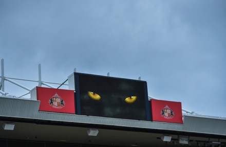 cats eyes football logo