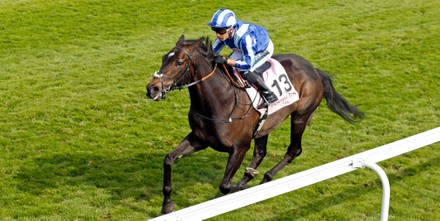 Horse Racing - 05 May 2022