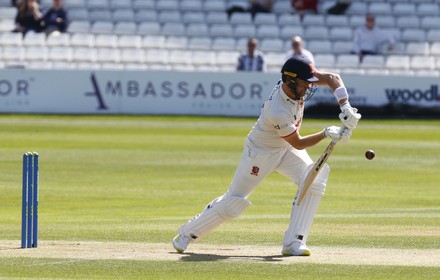 Essex CCC v Yorkshire CCC - County Championship - Division One Day 2 of 4, Chelmsford, United Kingdom - 01 Feb 2018