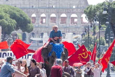 Elephants on film set near Imperial Forums in Rome, Italy - 11 May 2022