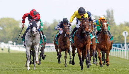 Dandy Maestro William Pyle Wins Power Editorial Stock Photo - Stock ...